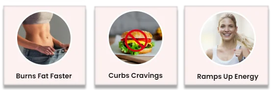 Dietoxil Gummies Benefits